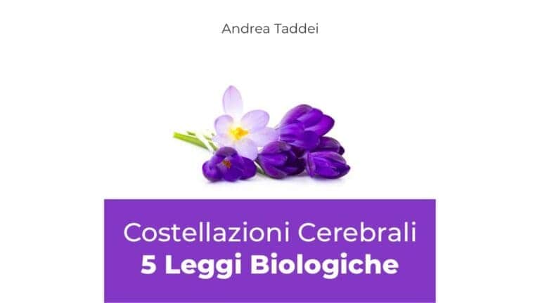 Brain constellations course