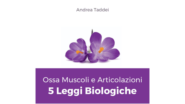 Muscles and joints course