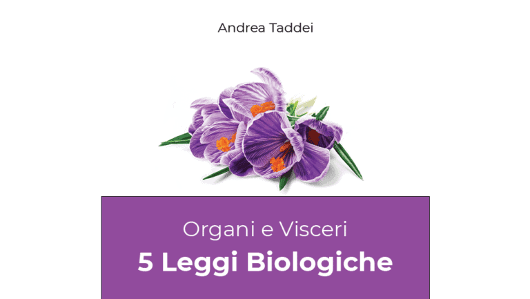 Organs and viscera course