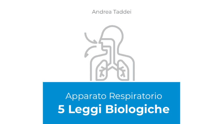 Respiratory system course